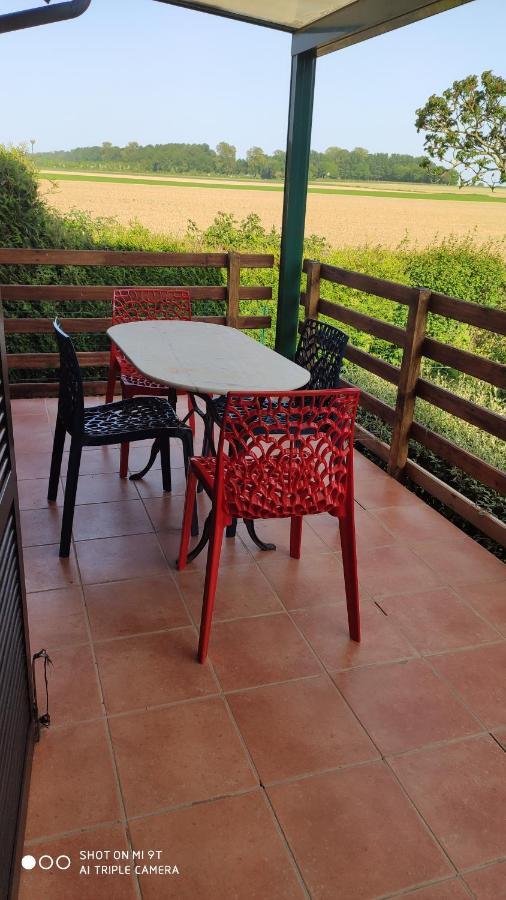 Le Petit Chalet Gapennes ภายนอก รูปภาพ